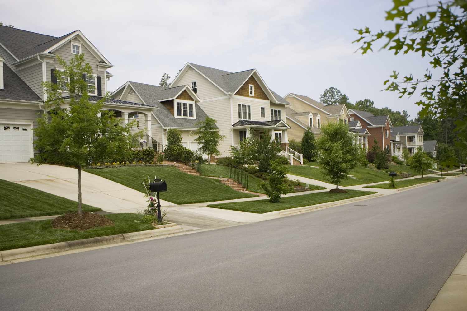 A row of houses in a suburban American neighborhood