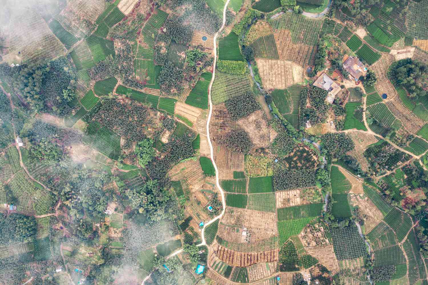 Drone photo of a Chinese agriculture village